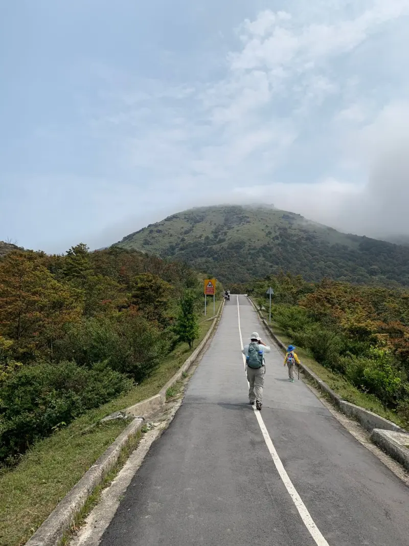 金云山科技数字化平台开发案例：从需求梳理到上线实践