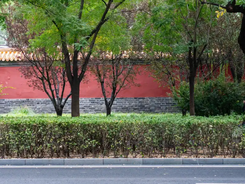 科�软件开发与系统集成服务对比：如何匹配企业数字化需求